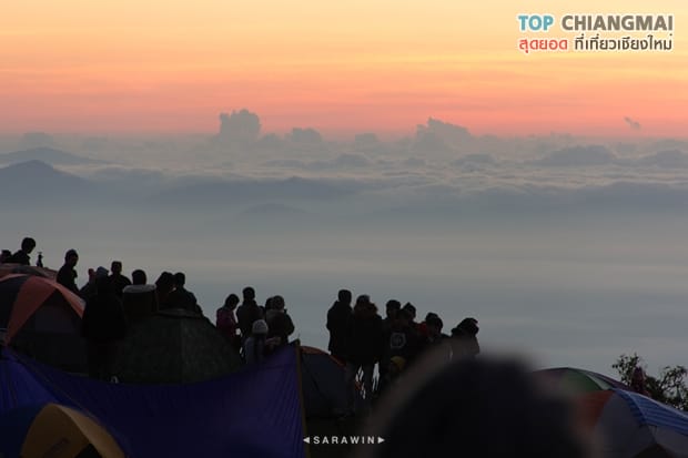 จุดชมวิวดอยอ่างขาง - จุดชมวิวม่อนสน - ดอยอ่างของ (1)