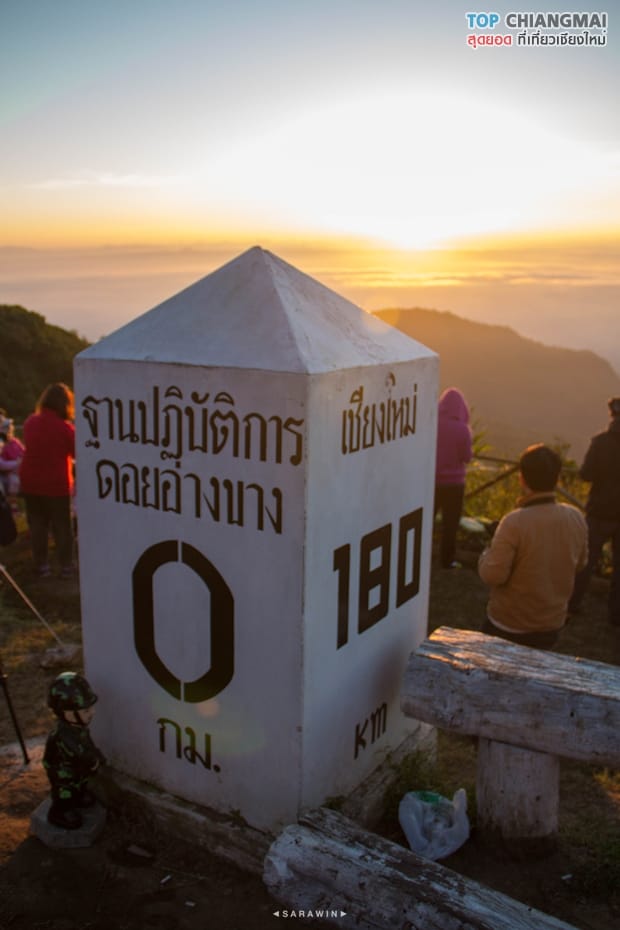 จุดชมวิวดอยอ่างขาง - จุดชมวิวม่อนสน - ดอยอ่างของ (21)