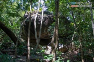 ออบหลวง (33)