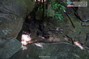 ออบหลวง (37)