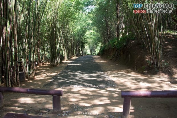 ออบหลวง (7)