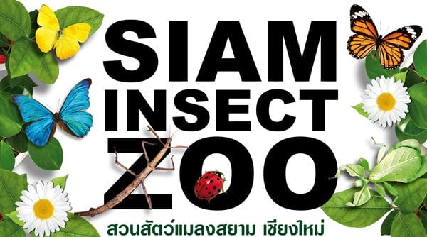 siam-insect-zoo