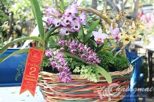 งานไม้ดอก2559 (62)