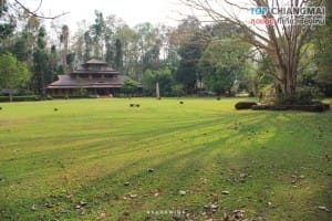 วัดถ้ำดอยโตน (47)