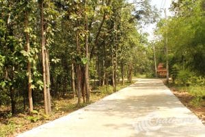 วัดดอยสัพพัญญ (29)