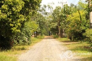วัดดอยสัพพัญญ (3)