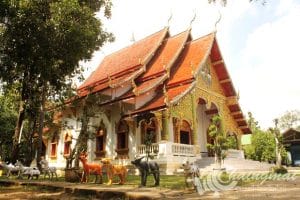 วัดดอยสัพพัญญ (6)