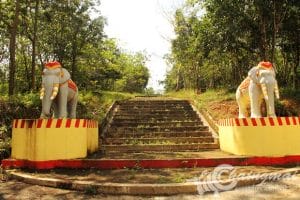 ห้วยมะนาว (15)