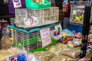ถนนคนเดินบางเขน12
