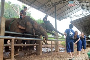 บ้านช้าง53