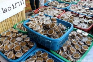 พระบาท4รอย (18)