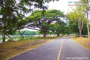 หนองสะเรียม14