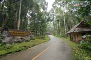 น้ำตกมณฑาธาร (4)