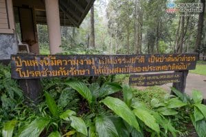 น้ำตกมณฑาธาร (9)