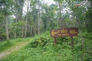 ผาเงิบ (2)