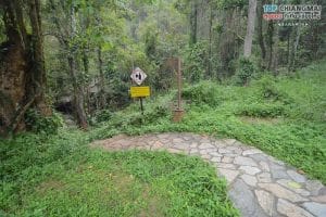 ผาเงิบ (4)