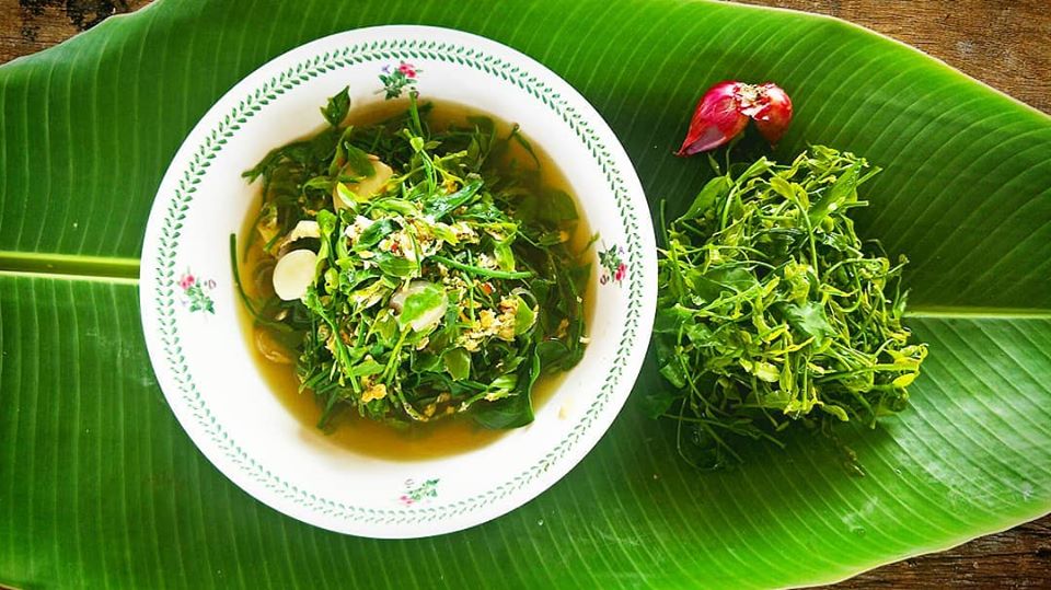 แกงผักหวานป่า - Top Chiang Mai สุดยอด ที่เที่ยว ที่กิน  ข้อมูลจังหวัดเชียงใหม่